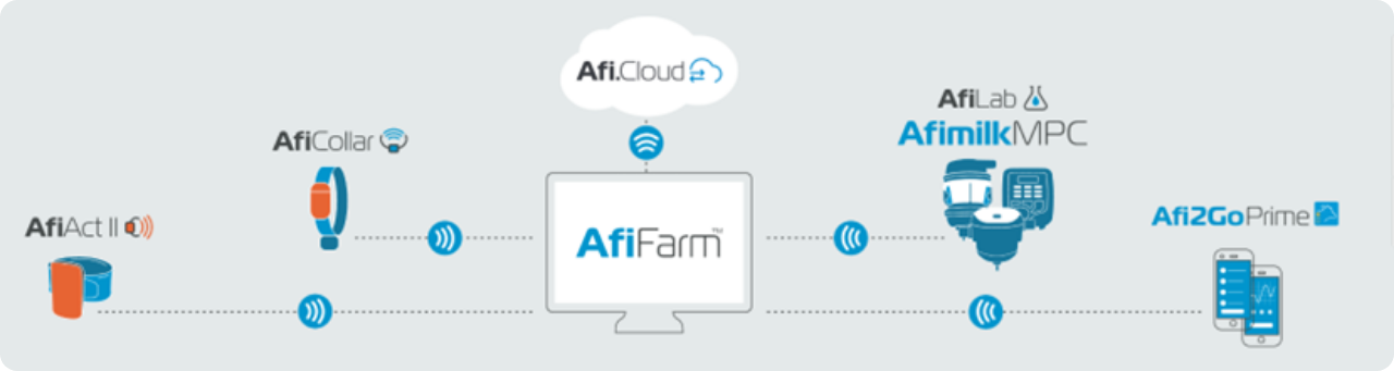 Afimilk - automatizace mléčných farem